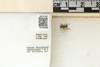 Media type: image;   Entomology 769008 Aspect: Labels
